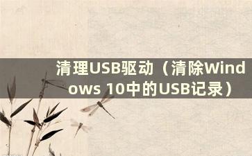 清理USB驱动（清除Windows 10中的USB记录）